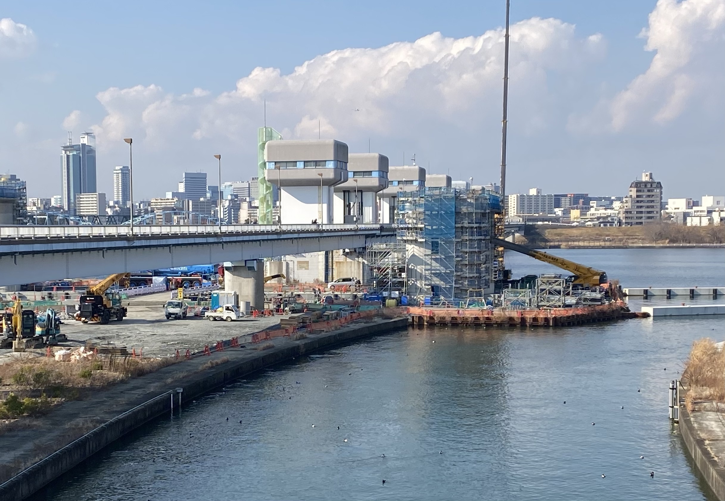関東甲信越の蝶　採集・観察マップ　Vol.25　40周年記念号 マックスマップル 関東甲信越・静岡・福島道路地図 – 昭文社